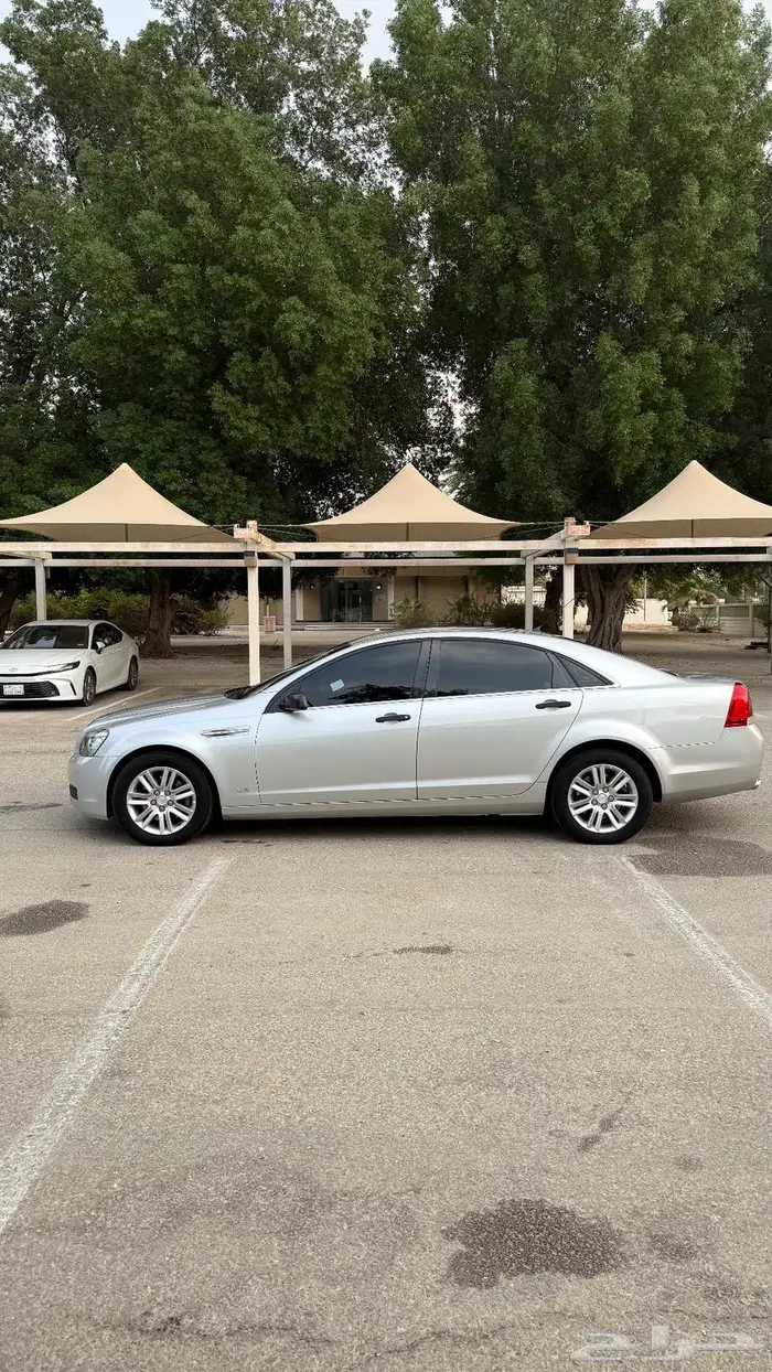 كابرس 2013 LS 1