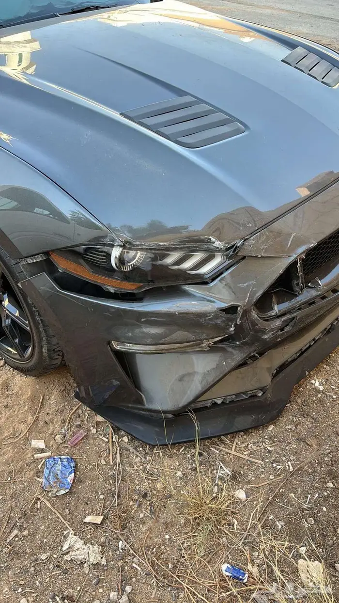 موستنق 2019 GT Premium 13