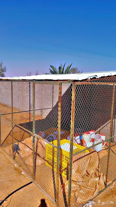 شبك حمام 3في3 index