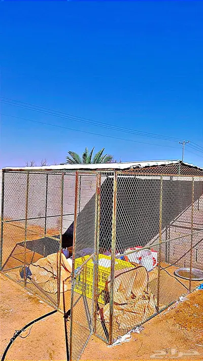 شبك حمام 3في3 index