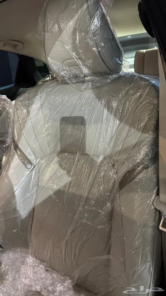 كراون بريميوم هايبرد 19