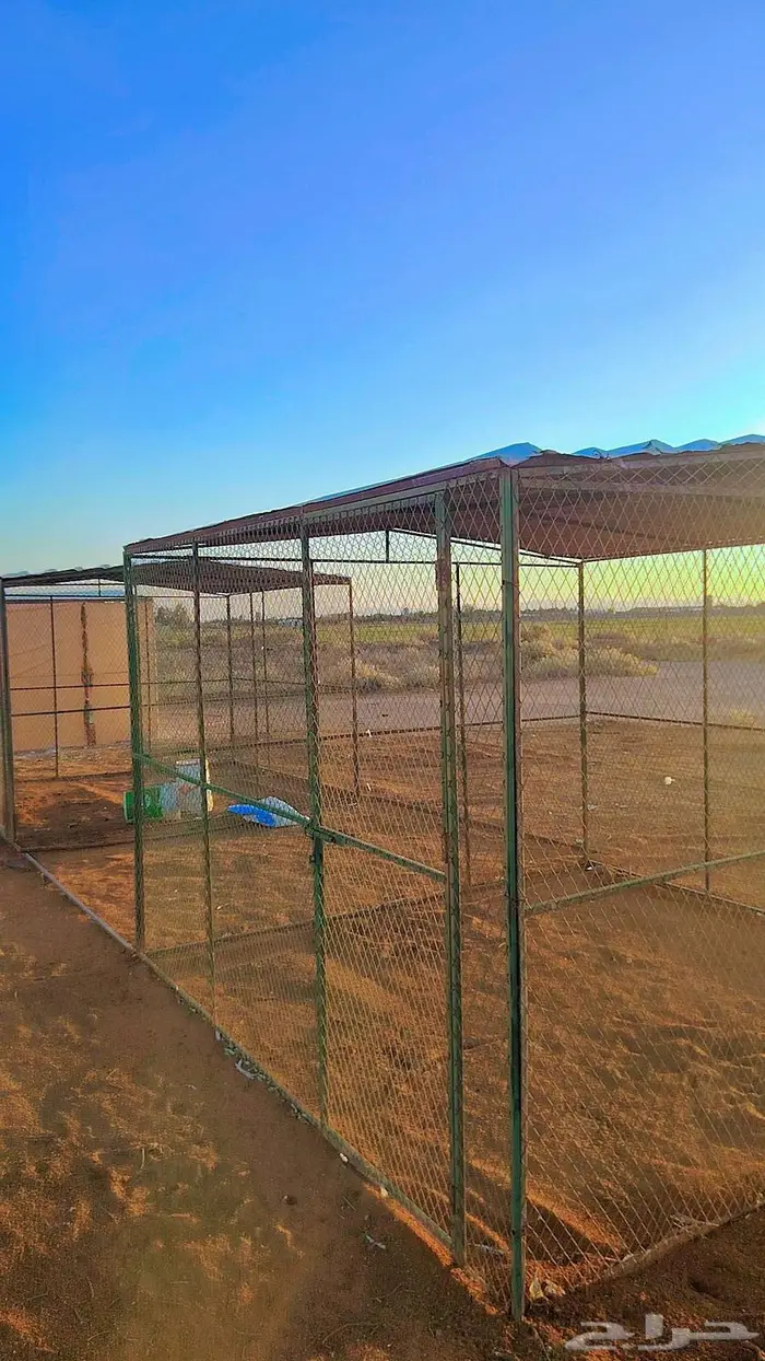 شبك حمام 3في3 1