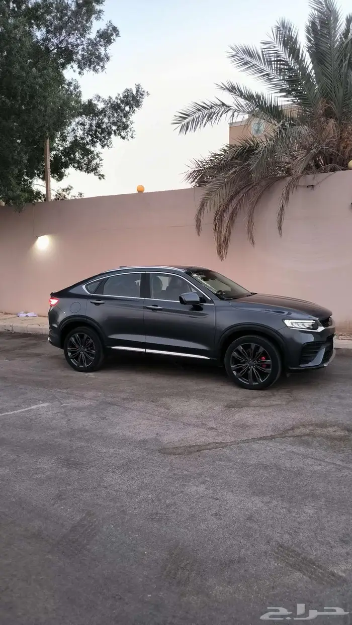 جيلي توجيلا ماشي قليل 11