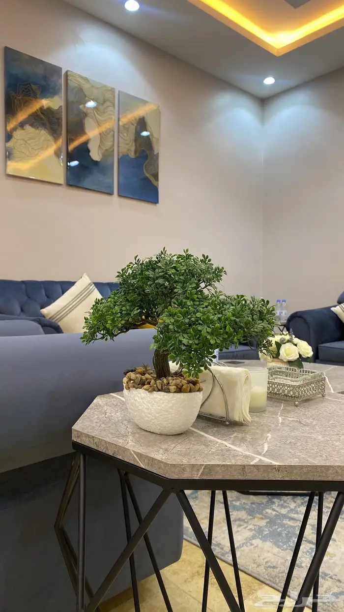 شقق مفروشه فندقيه فاخره 5