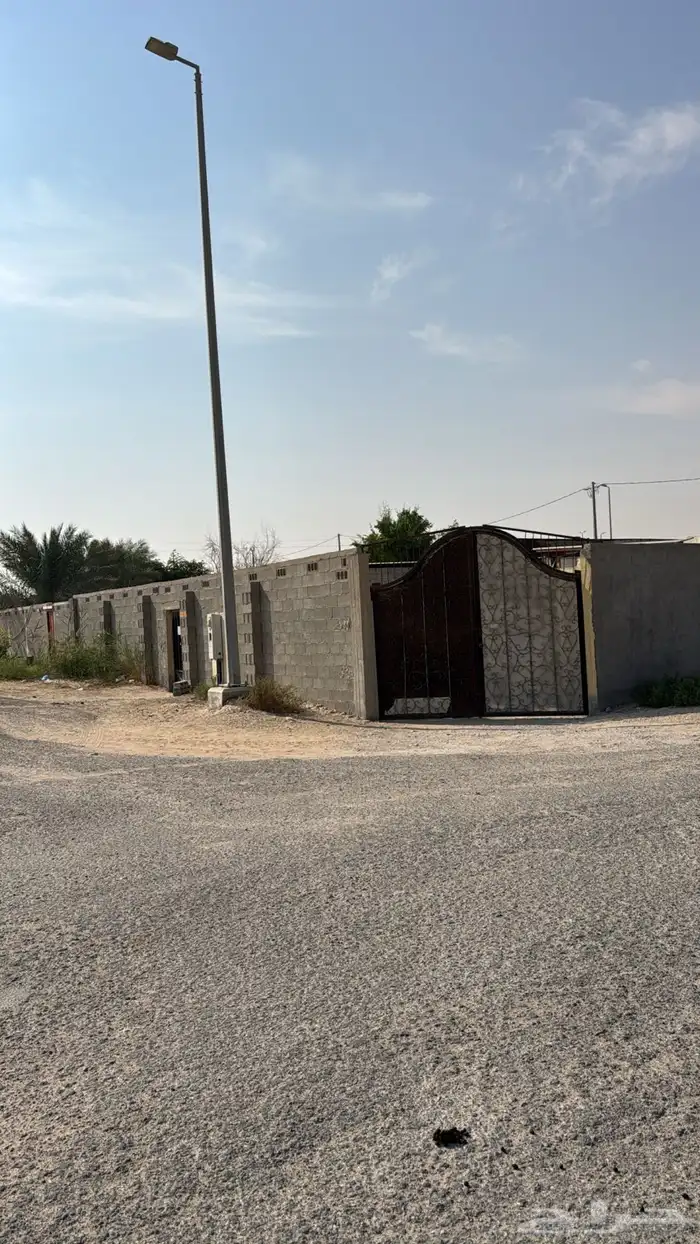 حوش لتقبيل سوق الغنم 5