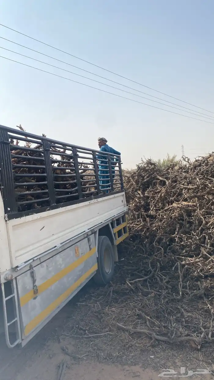 حطب عنب للبيع 0