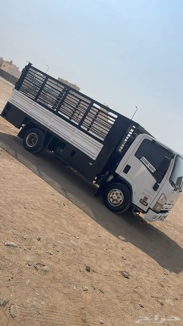 دينا صندوق للايجار شهري سنوي 0