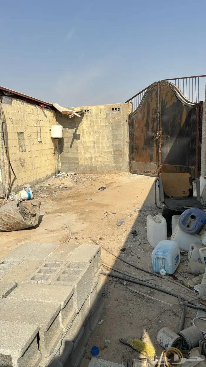 حوش لتقبيل سوق الغنم 1