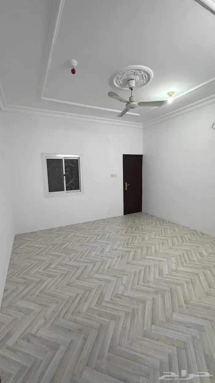 شقة للاجار أبها 1