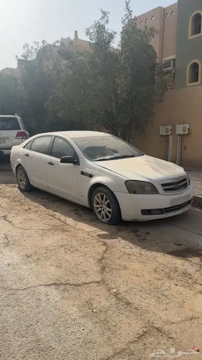 كابرس LS 2012 0