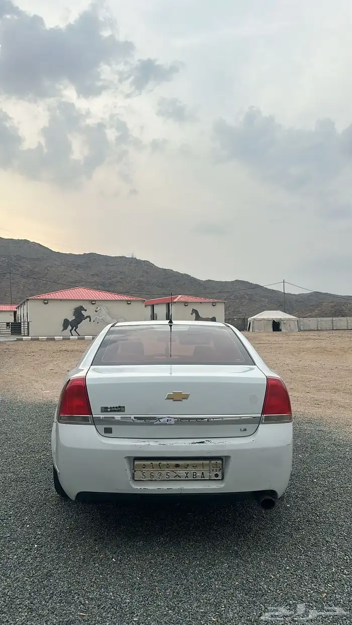 كابرس سته سرندل2008 5