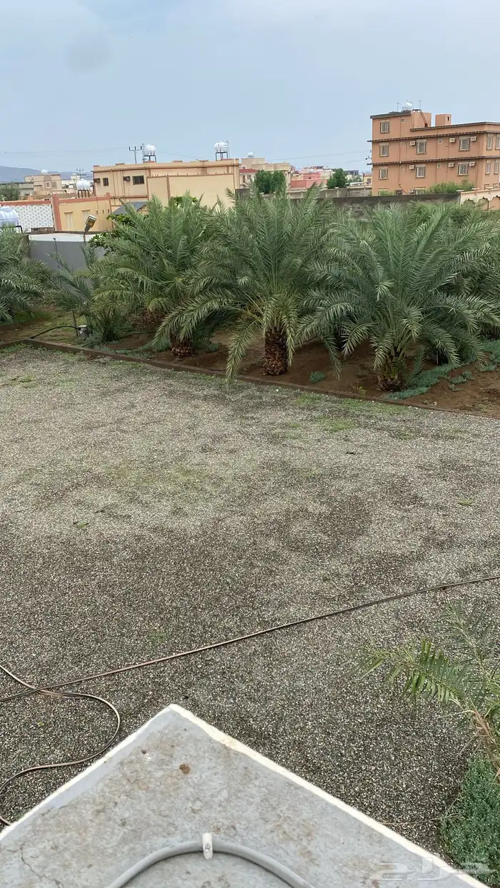 استراحة للإيجار جندلة الشعبين تهامة 2