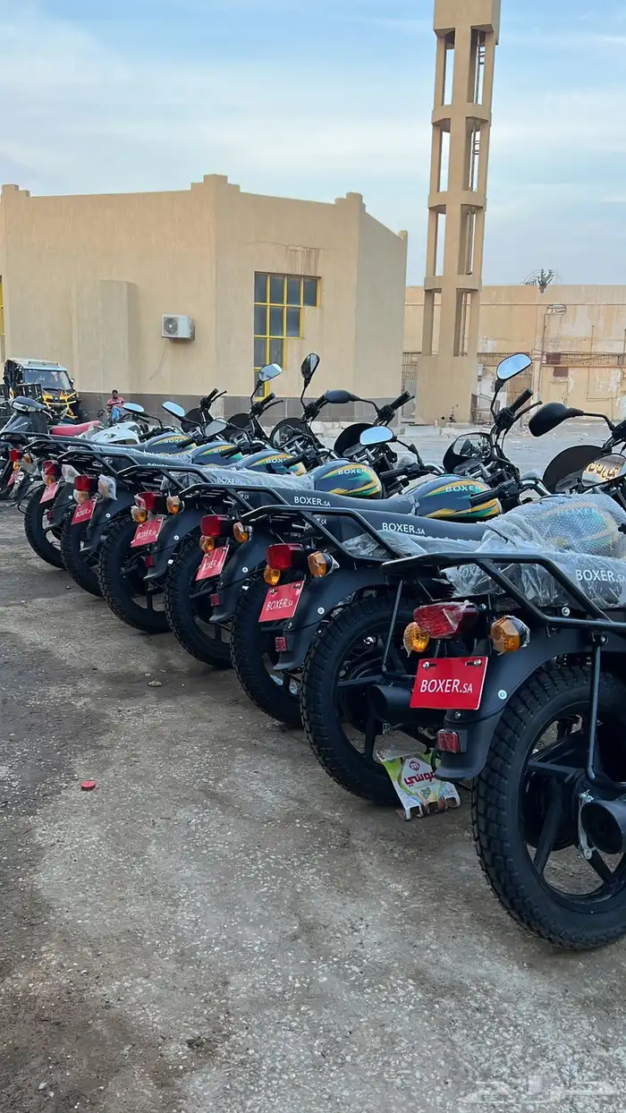 دباب بوكسر 1