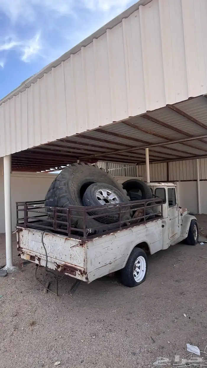 شاص قديم 79 1