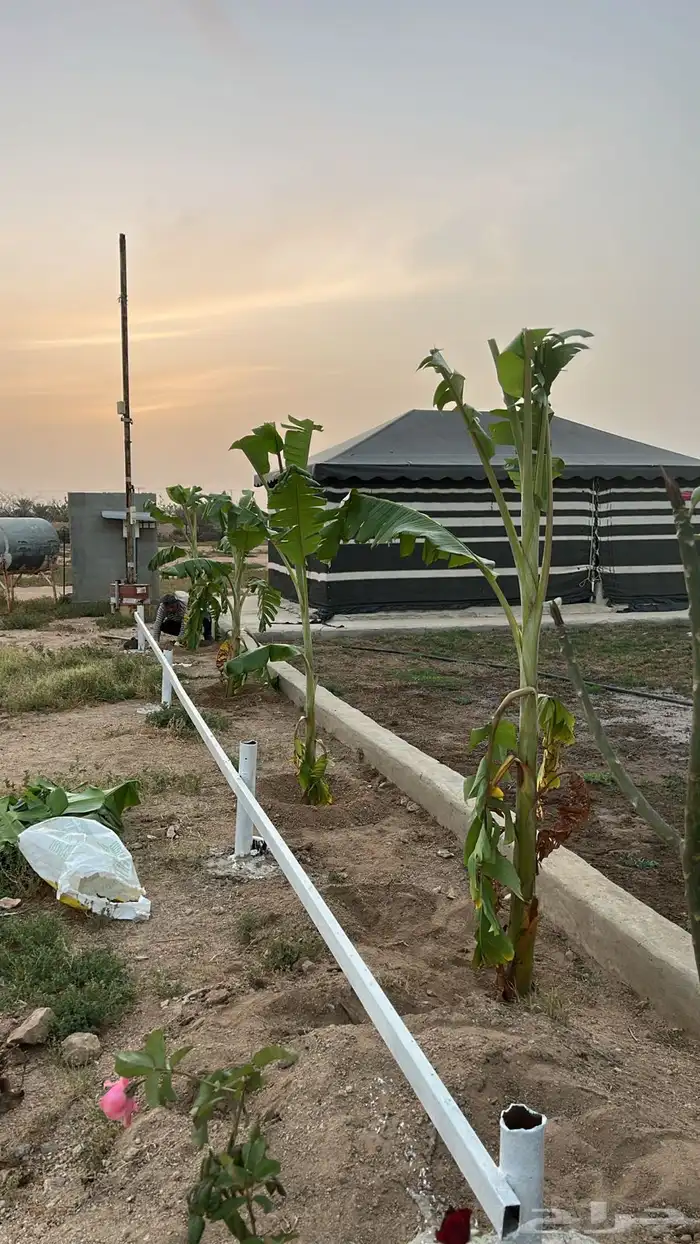 خيمه للبيع 0