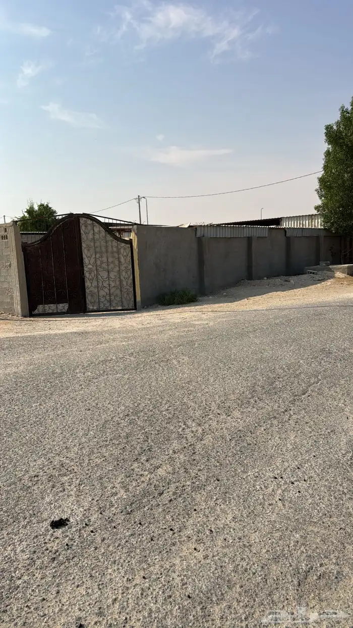 حوش لتقبيل سوق الغنم 4