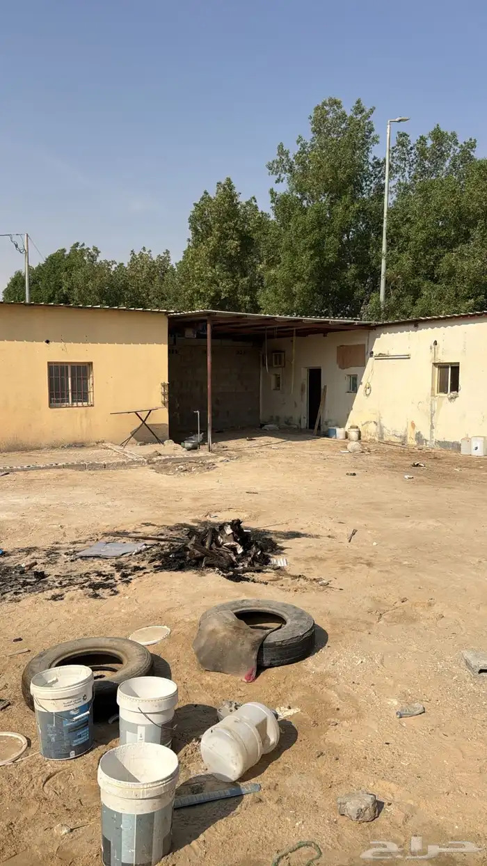 حوش لتقبيل سوق الغنم 0