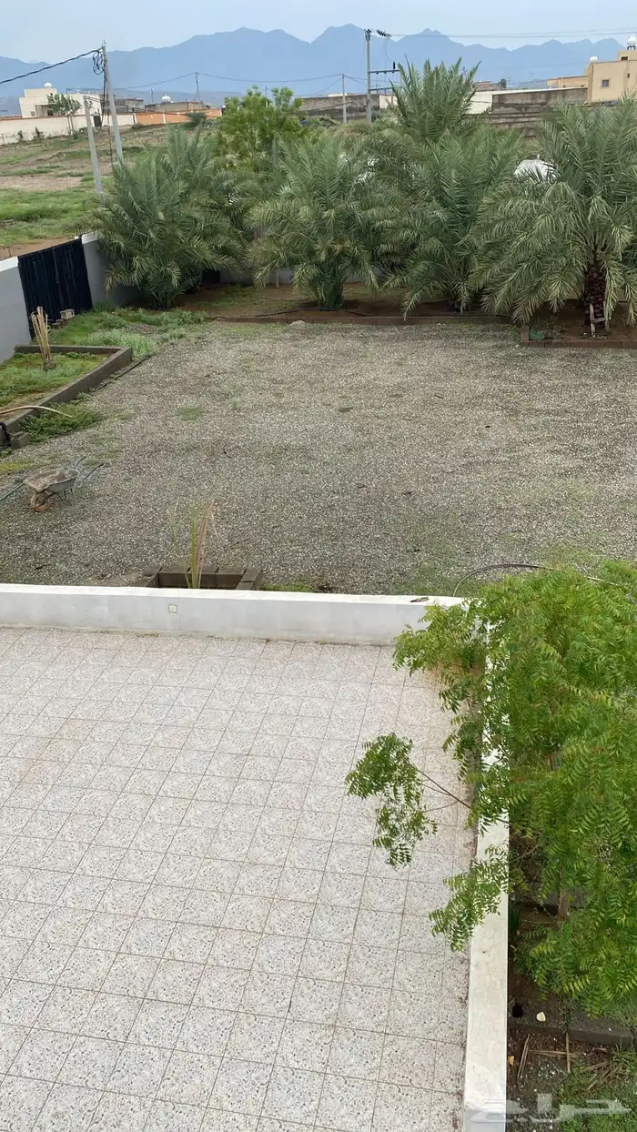 استراحة للإيجار جندلة الشعبين تهامة 3