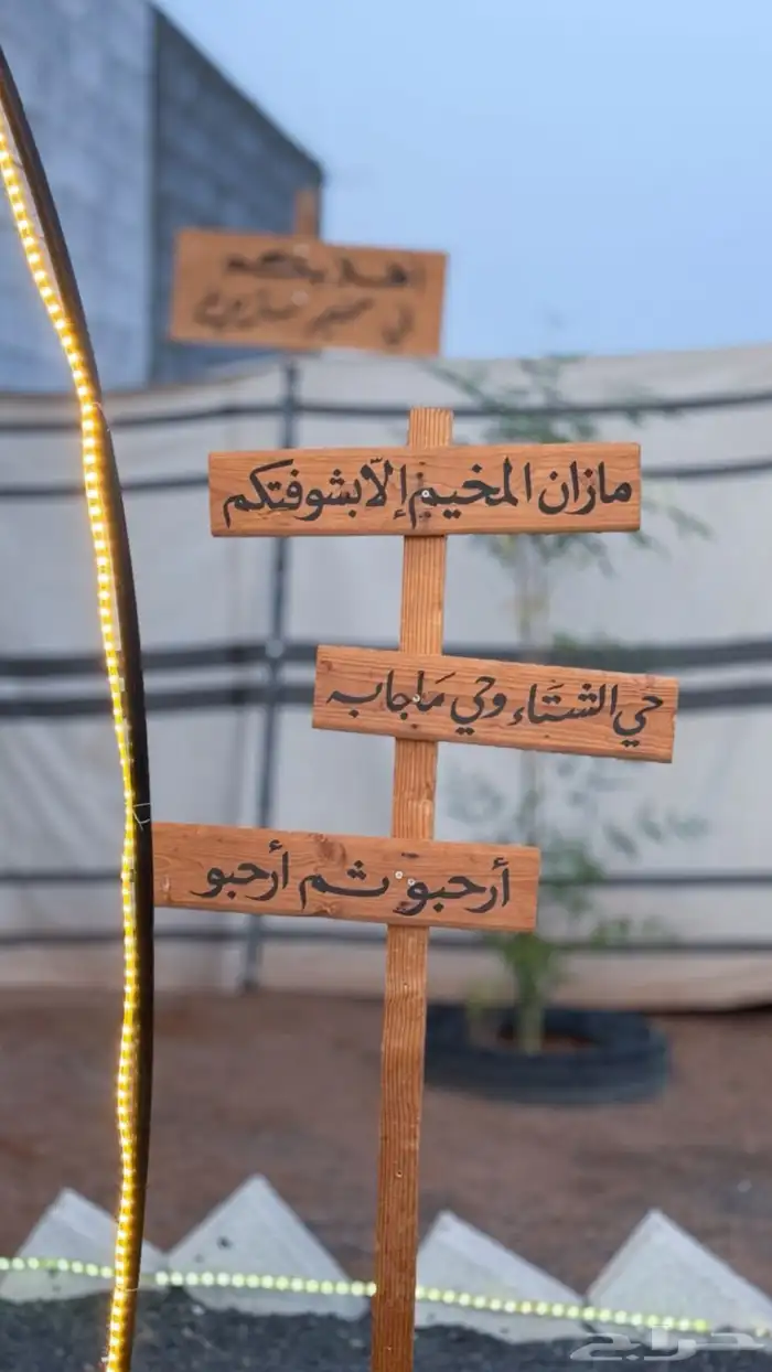 مخيم سترين 24