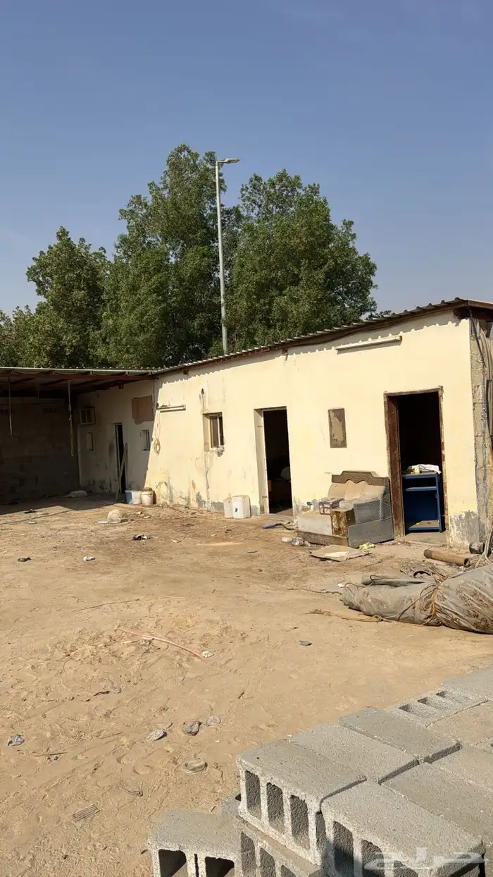 حوش لتقبيل سوق الغنم 2