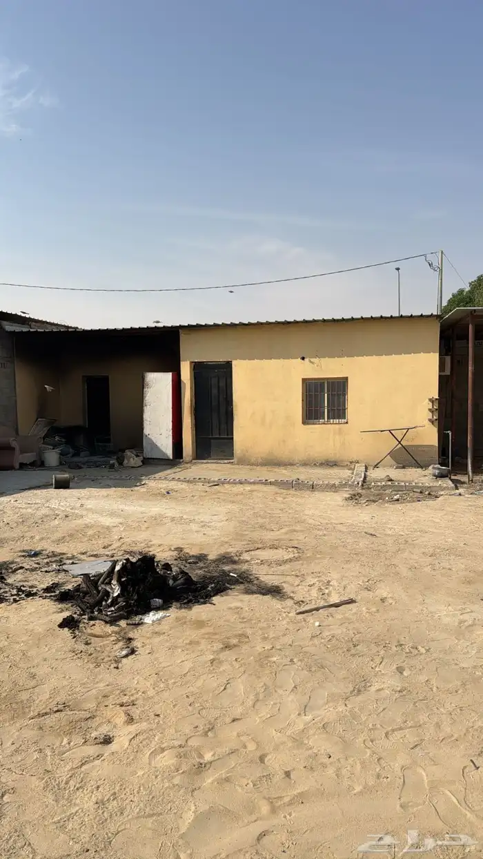 حوش لتقبيل سوق الغنم 3