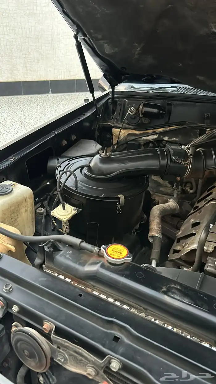 فكسار فل الفل 31