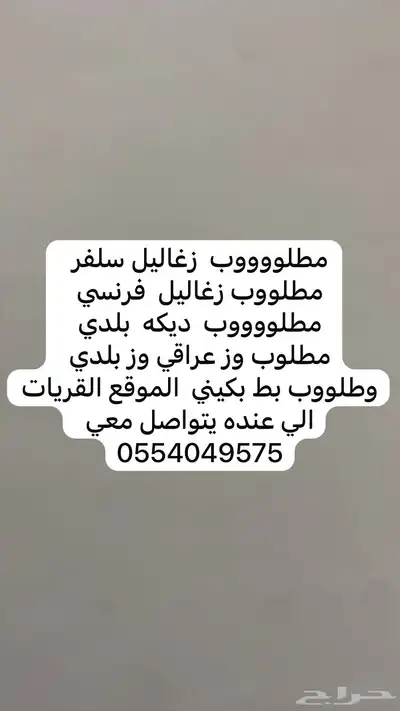 مطلوب ديكه وزغاليل وبط 0