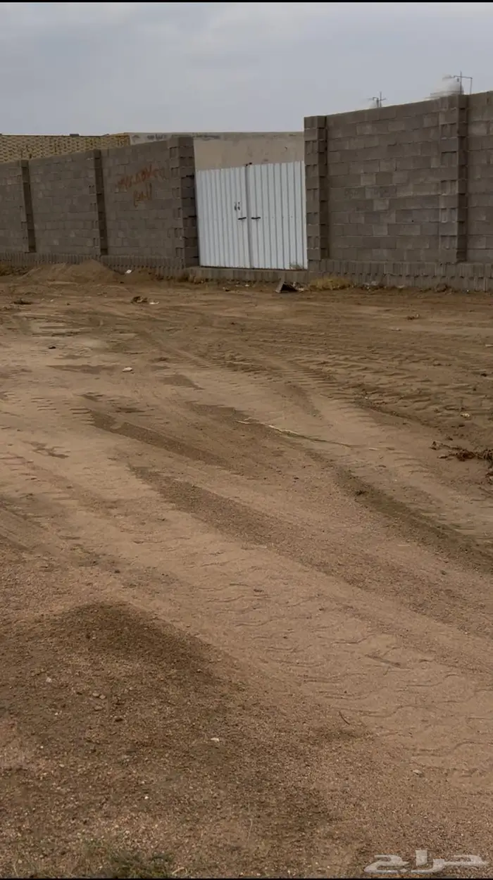 مطلوب مسوق ارض 0