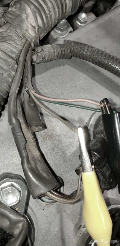 تجديد وتصليح الضفائر المحروقه ومأكوله من الفيران index