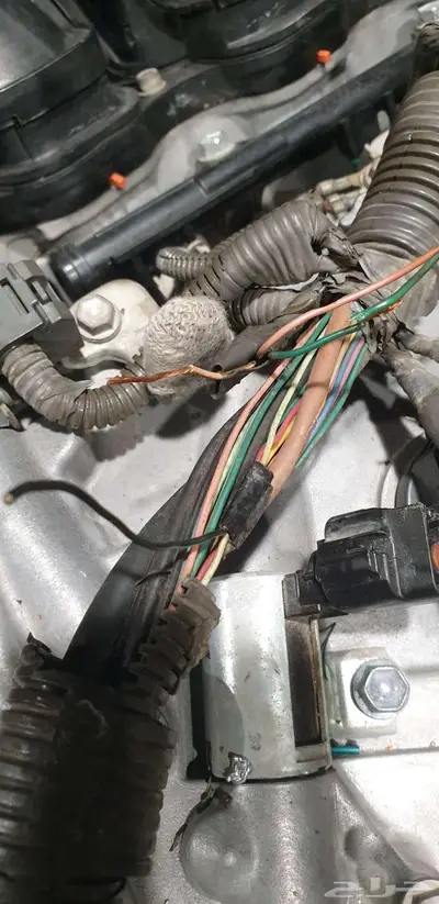 تجديد وتصليح الضفائر المحروقه ومأكوله من الفيران index