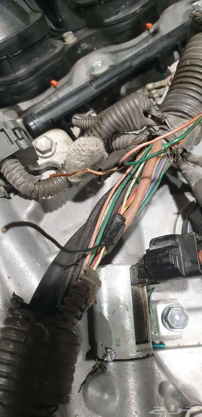 تجديد وتصليح الضفائر المحروقه ومأكوله من الفيران 7