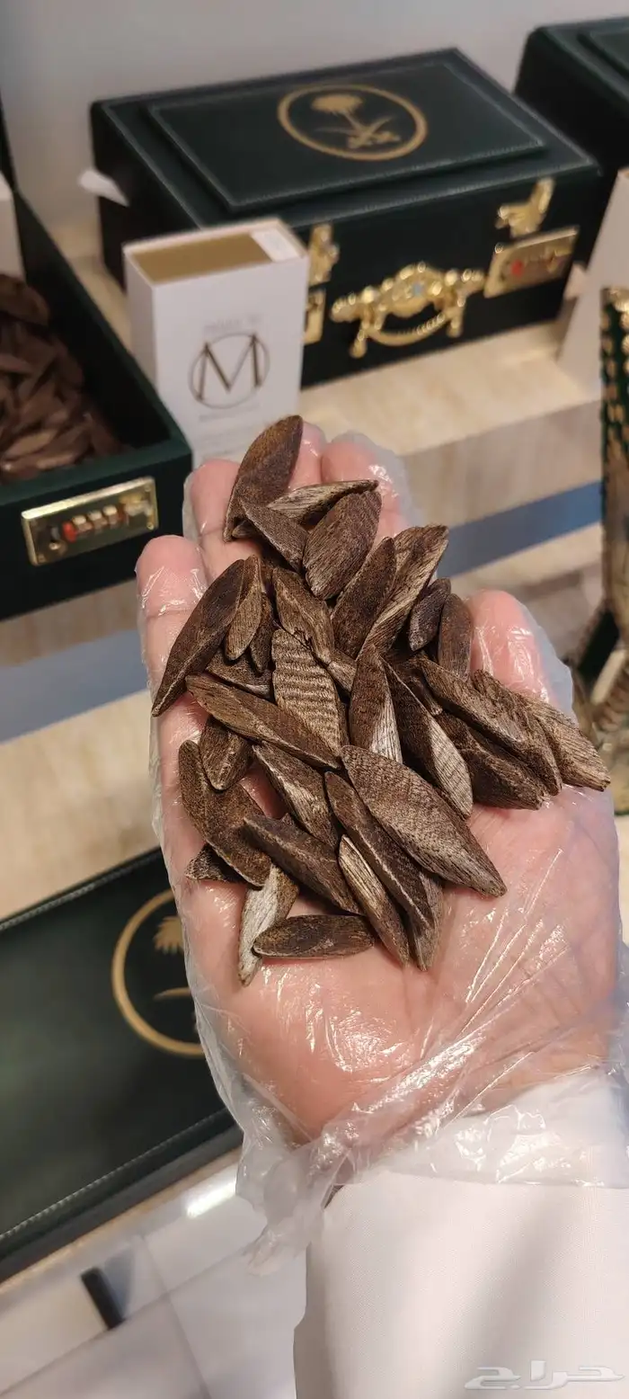 كمبودي ميلينيوم عود 0