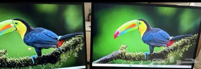 لابتوب مايكروسوفت سيرفس 3 1