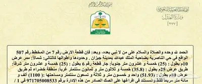 ارض للبيع ضاحية الملك عبدالله الناصرية طريق المطار 80متر index