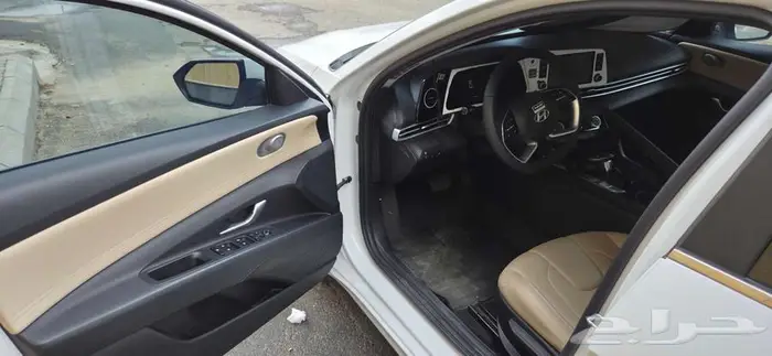 النترا فتحة وجلد بيج صيني 7