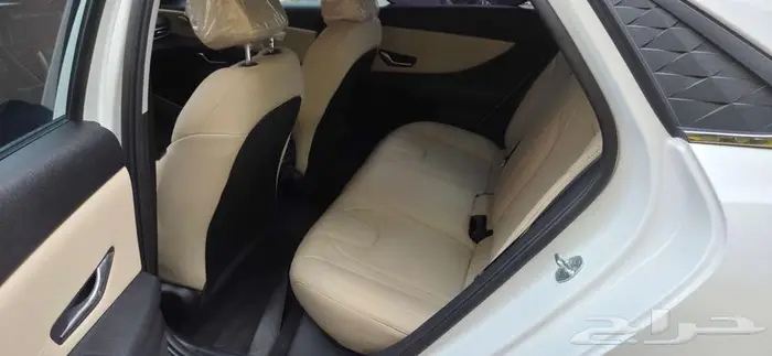 النترا فتحة وجلد بيج صيني 2