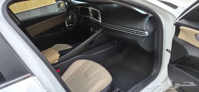 النترا فتحة وجلد بيج صيني 8