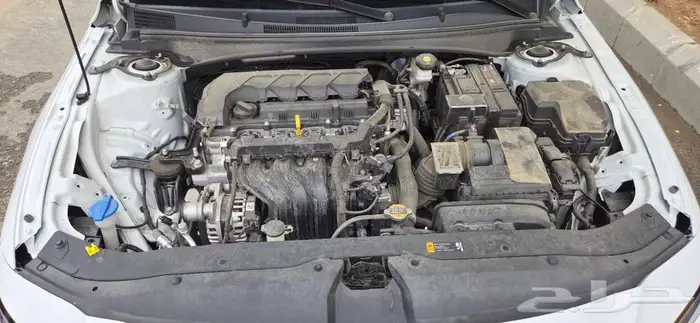 النترا فتحة وجلد بيج صيني 14