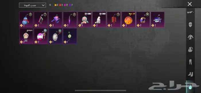 ببجي موبايل 15