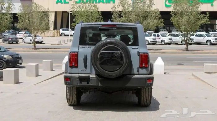 جريت وول تانك 300 موديل 2025 كاش وتقسيط 14