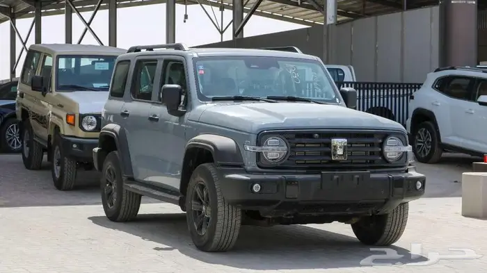 جريت وول تانك 300 موديل 2025 كاش وتقسيط 3