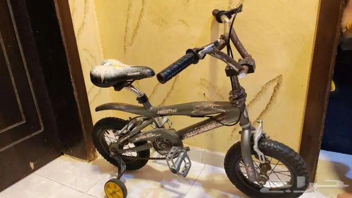 درفت عدد 2 ودراجات هوائية عدد 4 4