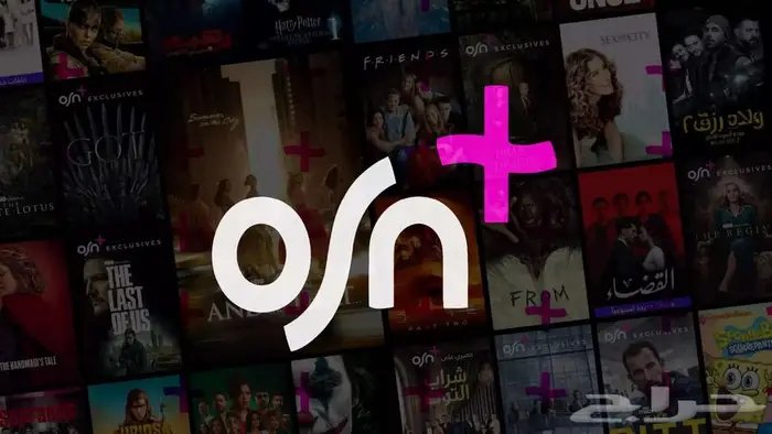 اشتراك نتفلكس-شاهد-osn 2