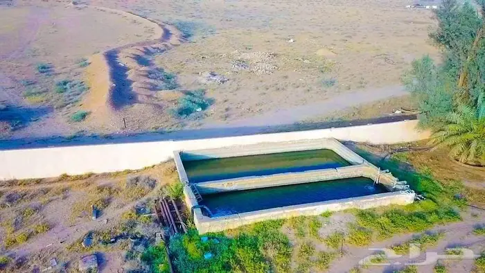 مزرعة للبيع بالقصيم 5