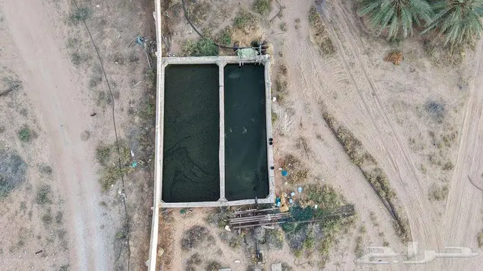 مزرعة للبيع بالقصيم 9