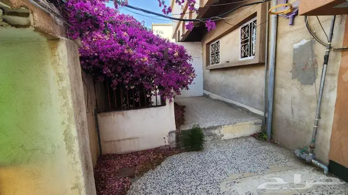 عماره دورين في حي الخالدية 1