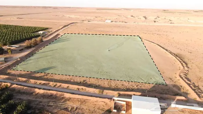 مزرعة للبيع بالقصيم 0