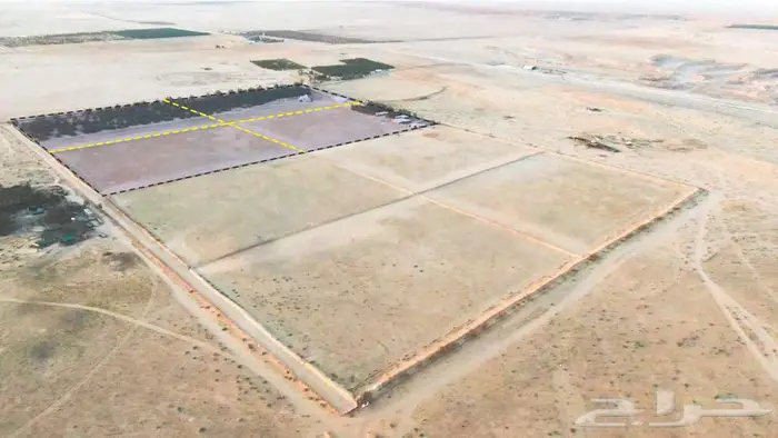 مزرعة للبيع بالقصيم 0