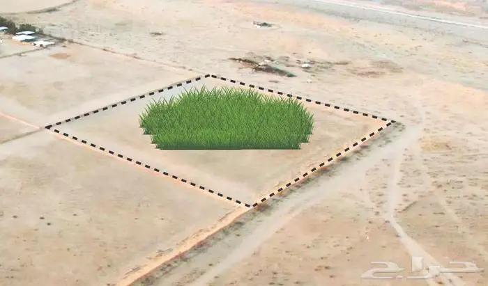 مزرعة للبيع بالقصيم 0