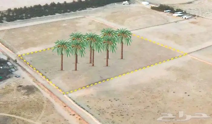 مزرعة للبيع بالقصيم 0